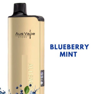 ALIBARBAR INGOT – BLUEBERRY MINT – 9000 PUFFS