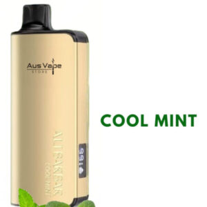 ALIBARBAR INGOT – COOL MINT – 9000 PUFFS