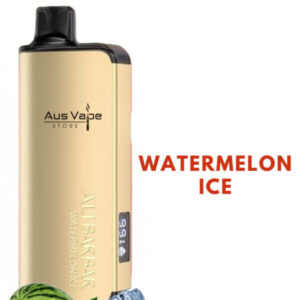 ALIBARBAR INGOT – WATERMELON ICE – 9000 PUFFS