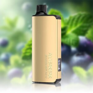 ALIBARBAR INGOT 9000 Puffs Blueberry Mint