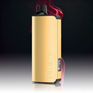 ALIBARBAR INGOT 9000 Puffs FTP