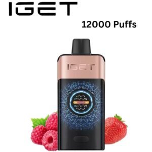IGET ONE – STRAWBERRY RASPBERRY – 12000 PUFFS