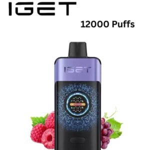 IGET ONE – RASPBERRY GRAPE – 12000 PUFFS