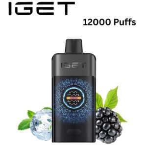 IGET ONE – BLACK FOREST – 12000 PUFFS