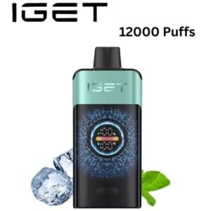IGET ONE – MOUNTANT SPRING MINT ICE – 12000 PUFFS