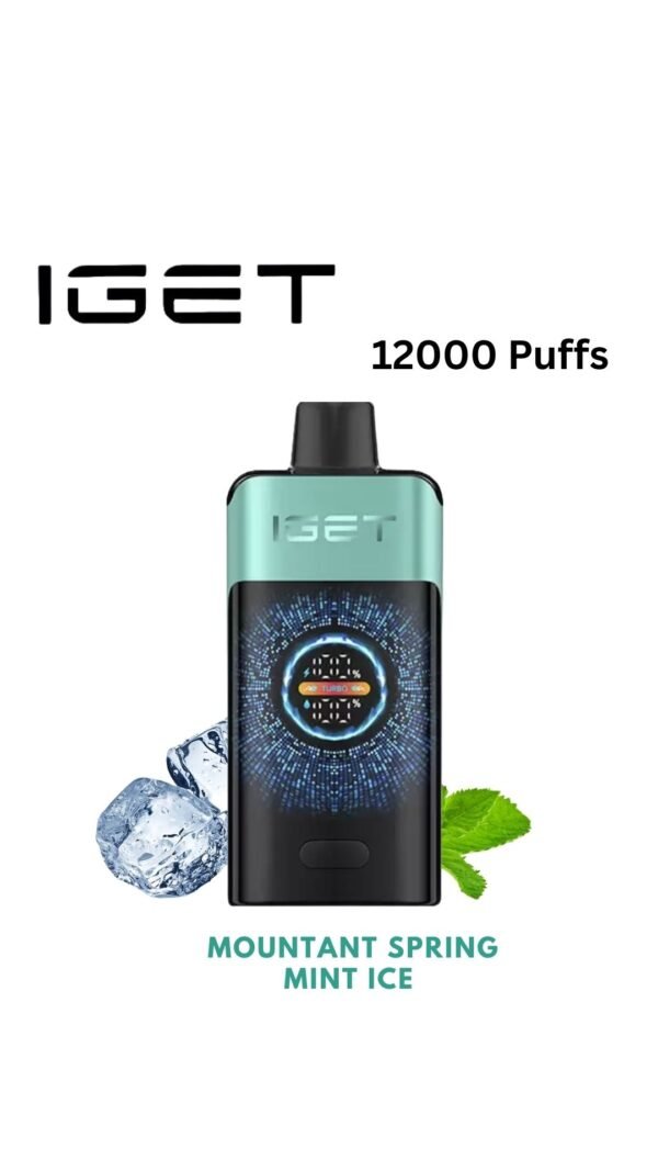IGET ONE – MOUNTANT SPRING MINT ICE – 12000 PUFFS
