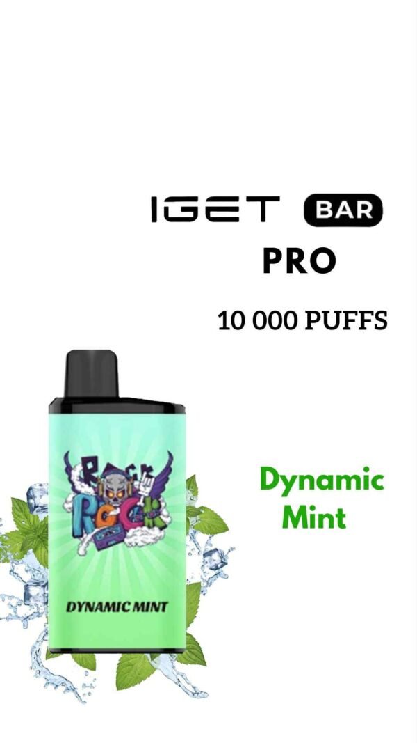 IGET BAR PRO – DYNAMIC MINT – 10 000 PUFFS